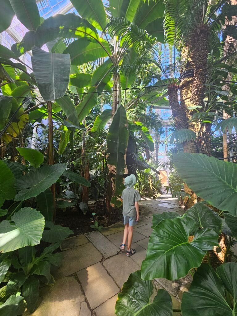 Butterfly House at the Botanical Garden, Copenhagen