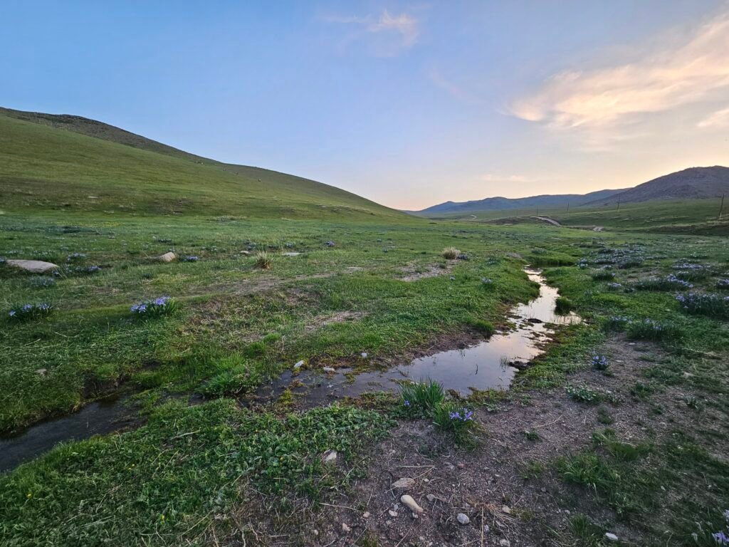 Grasslands of Hustai National Park at sunset