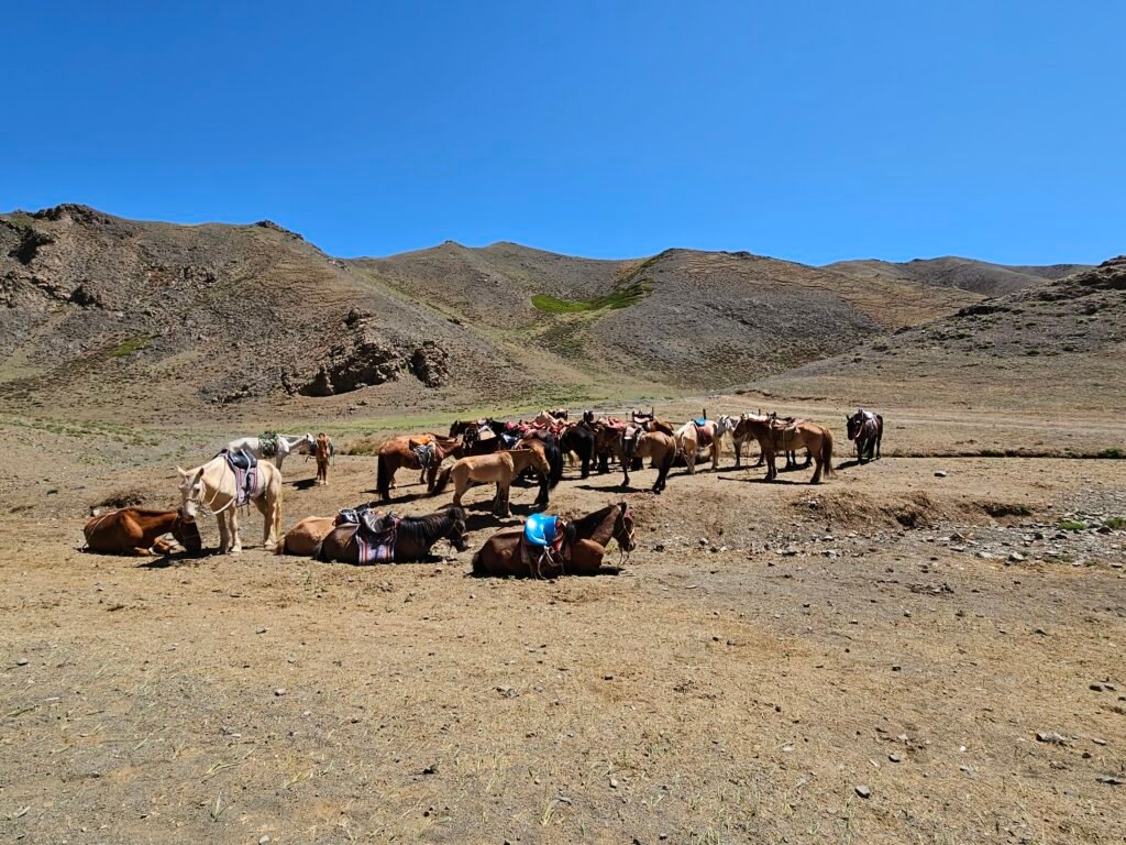 Family memories from our Mongolia trip with kids