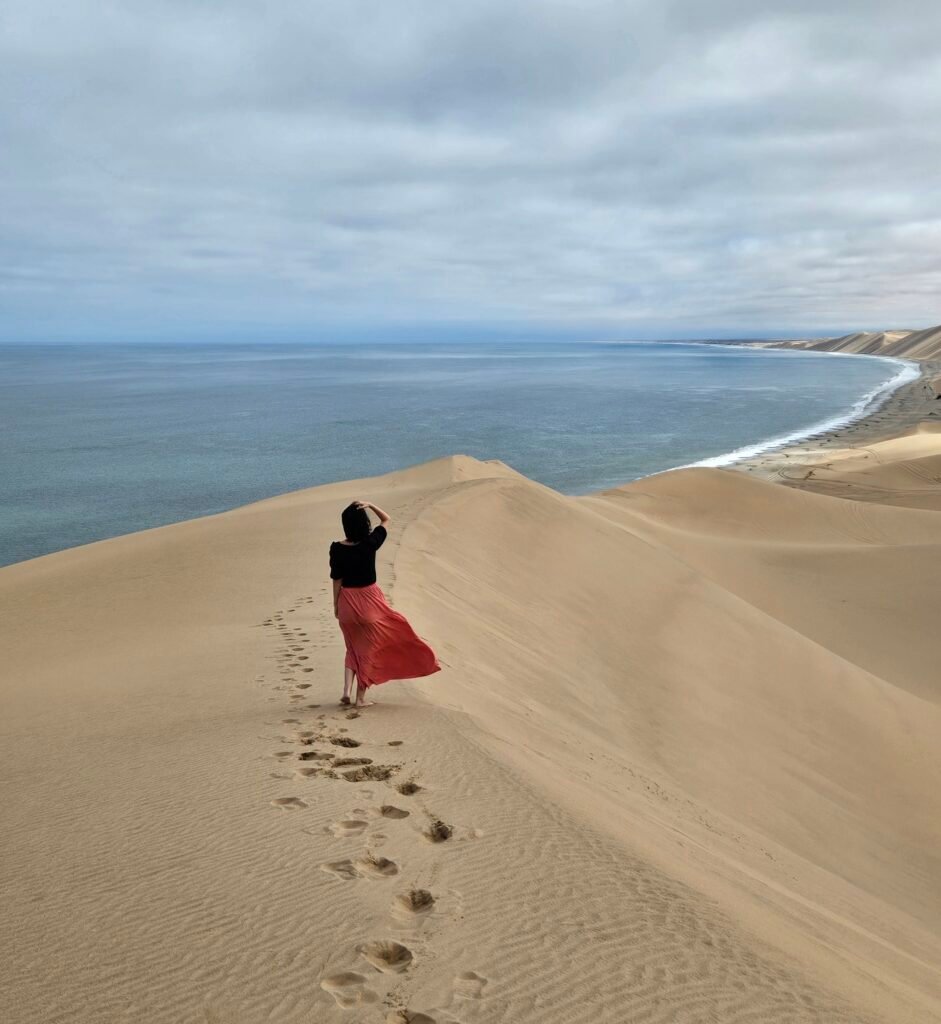 Where the Namib Desert meets the Atlantic Ocean at Sandwich Harbour