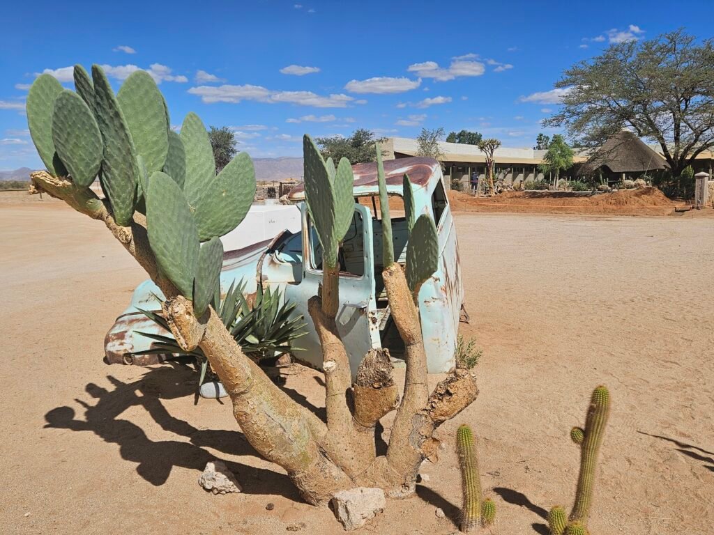 Vintage cars and desert scenery at the Solitaire pit stop, Namibia