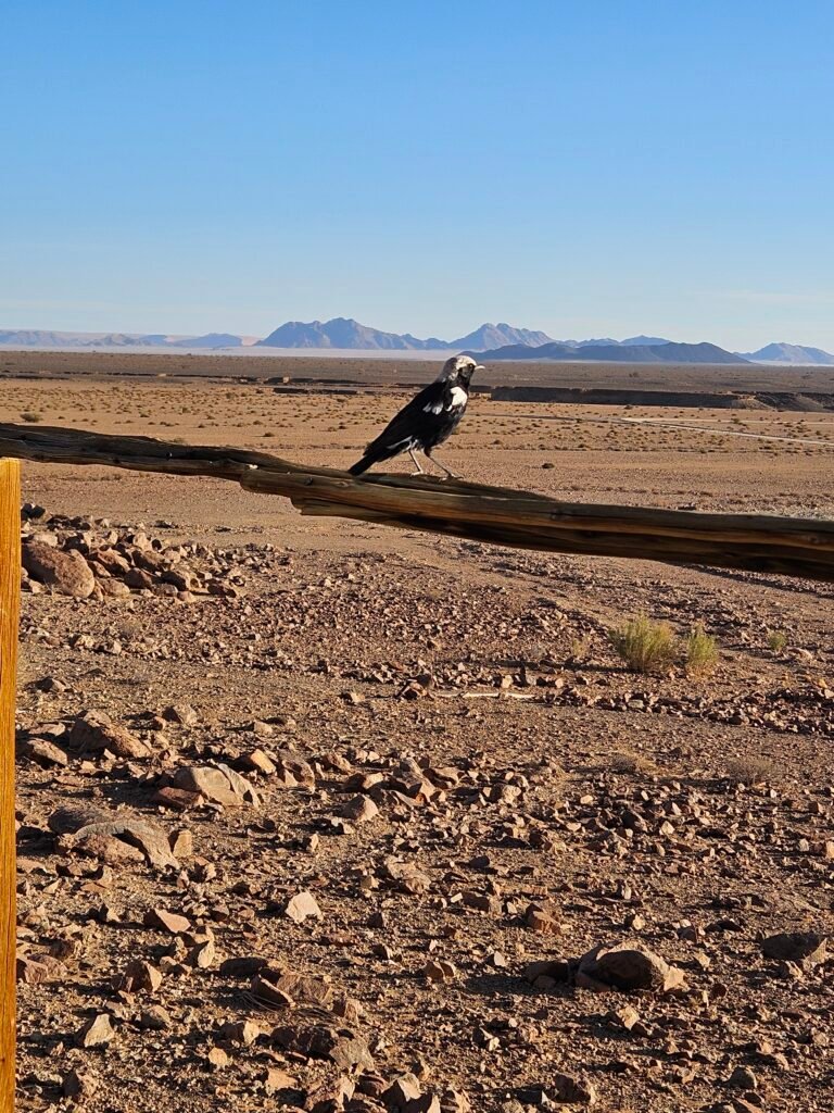 Comfortable accommodation used during a Namibia road trip with kids