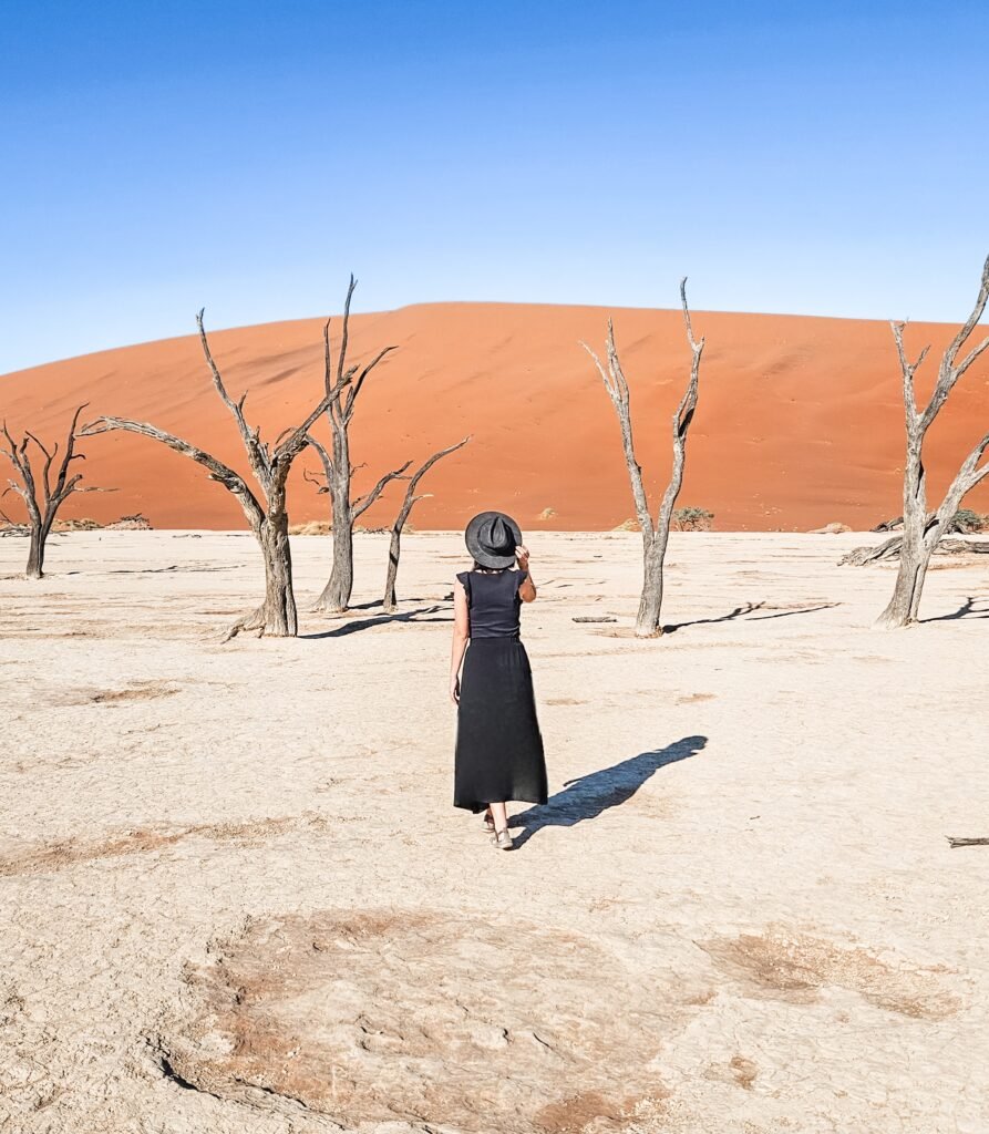 Wide-open Namibian landscape on a family road trip