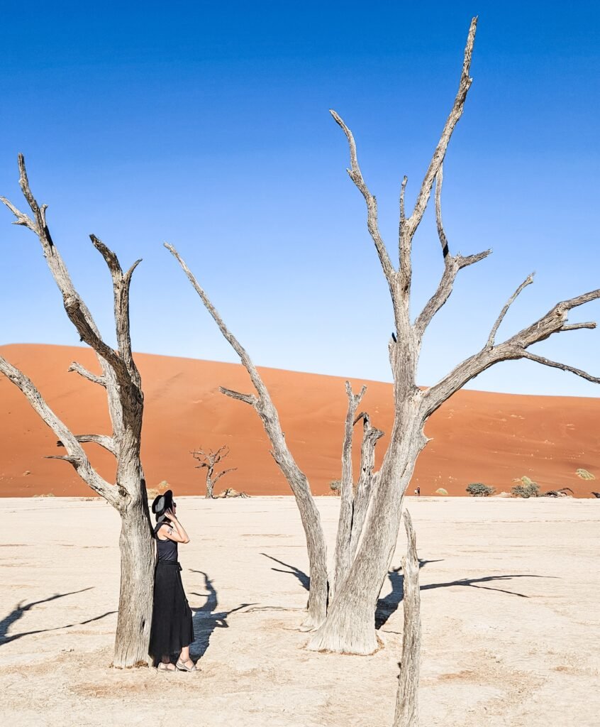 Ancient dead camel thorn trees standing in the white clay pan of Deadvlei