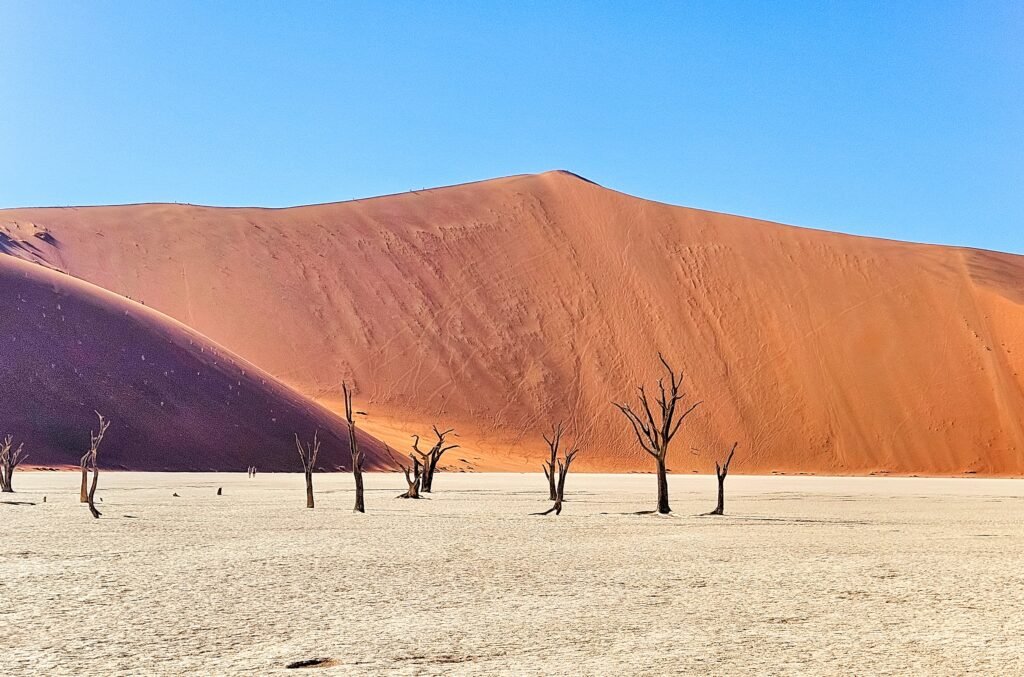 Dead trees silhouetted against red dunes and blue sky at Deadvlei