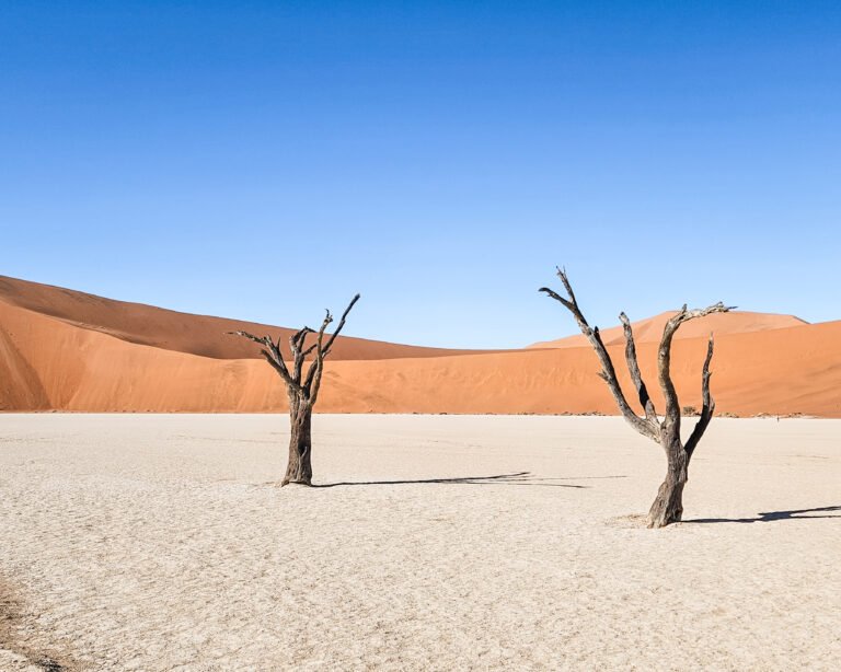 Family sunrise moment during a two-month worldschooling trip to Namibia