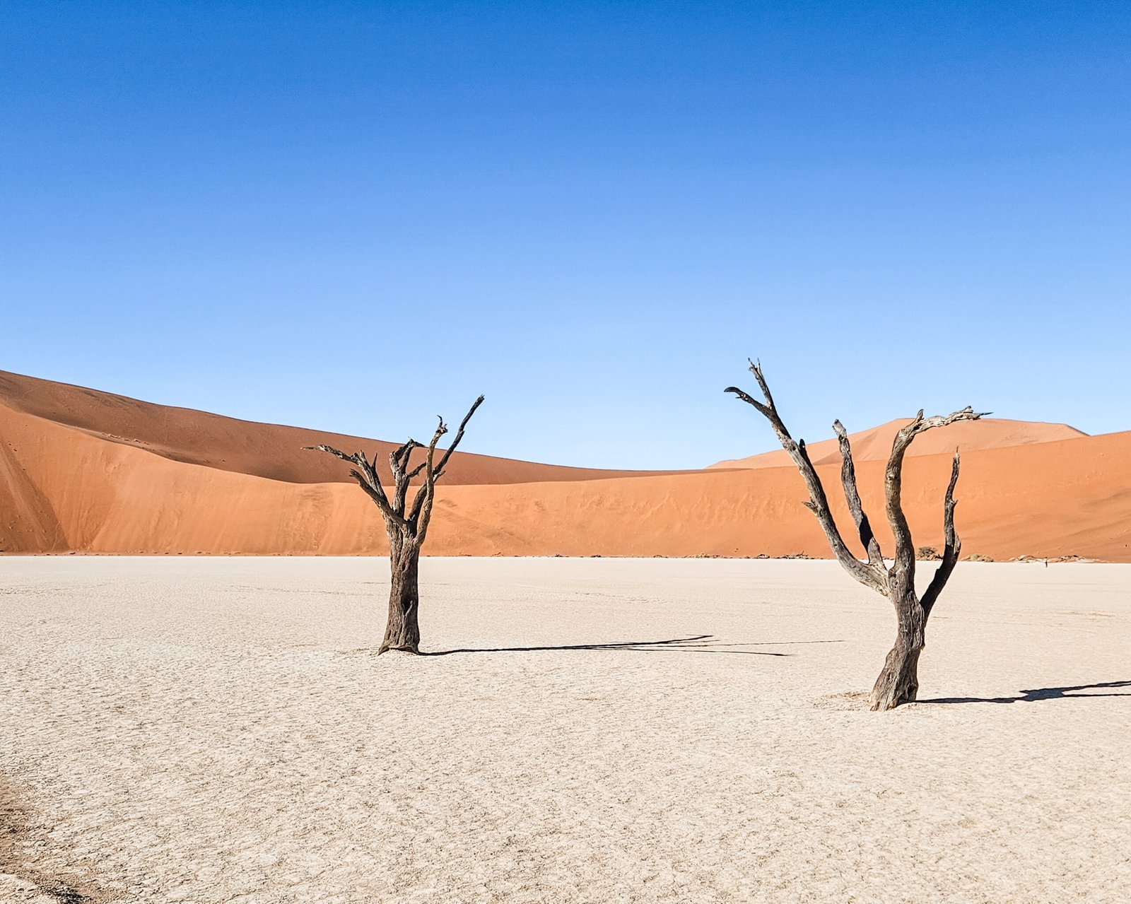 Family sunrise moment during a two-month worldschooling trip to Namibia