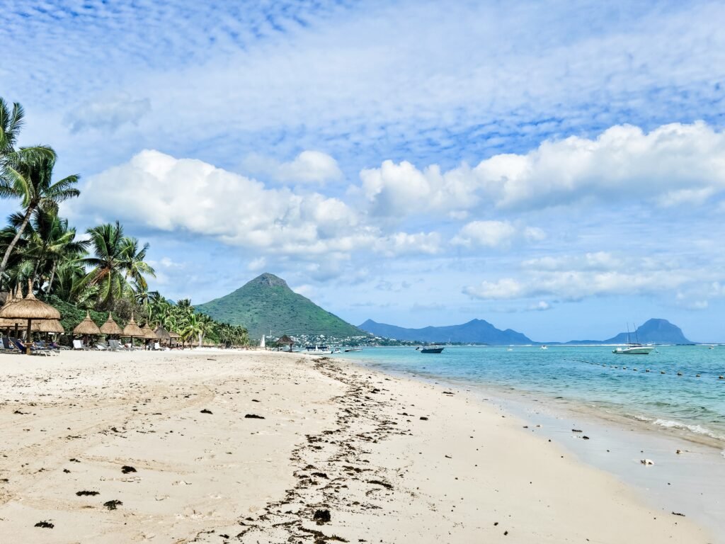 Shaded casuarina trees along Flic en Flac Beach, Mauritius