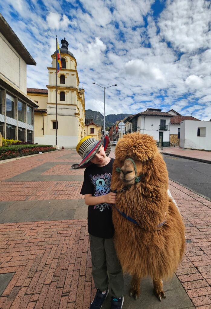 Boy petting a llama in Plaza del Chorro de Quevedo, La Candelaria, Bogotá