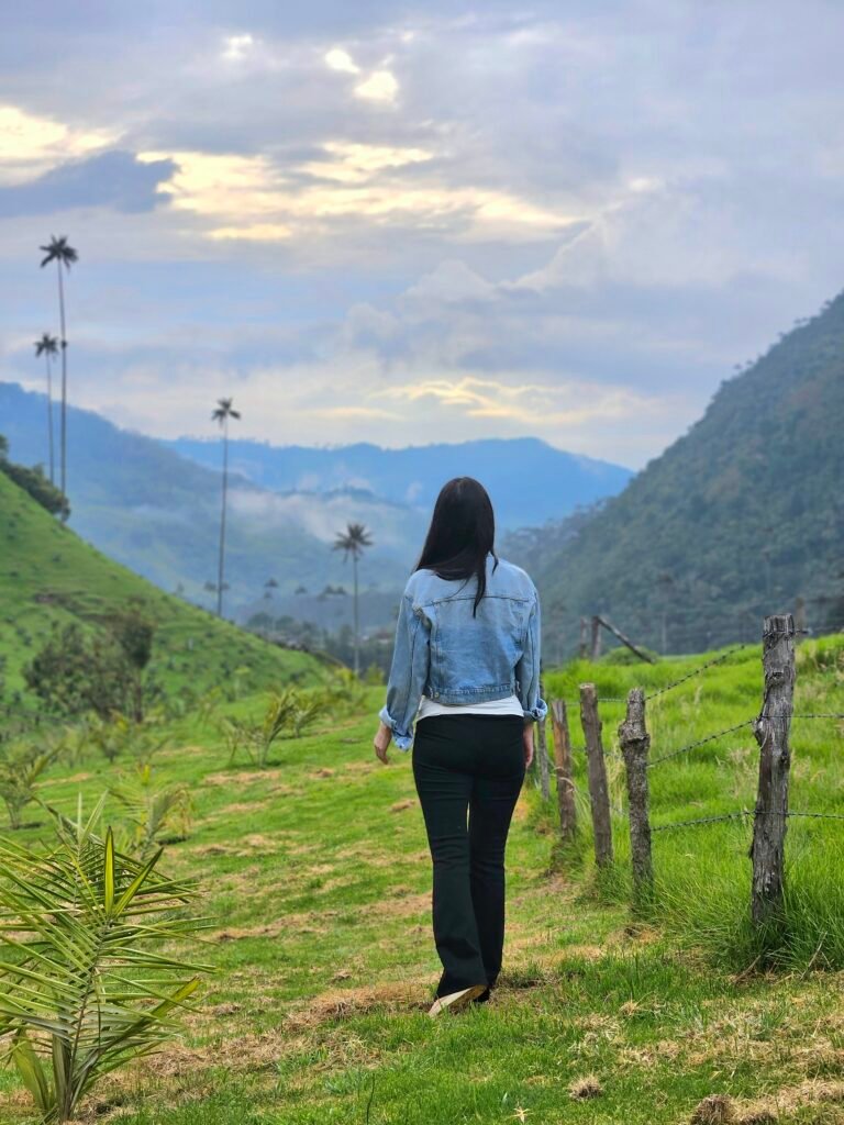 Colombia's giant wax palms towering over a dirt trail in the Cocora Valley