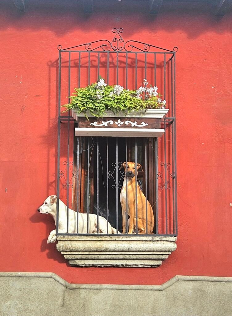 Colonial ruins and architecture in Antigua Guatemala's historic centre