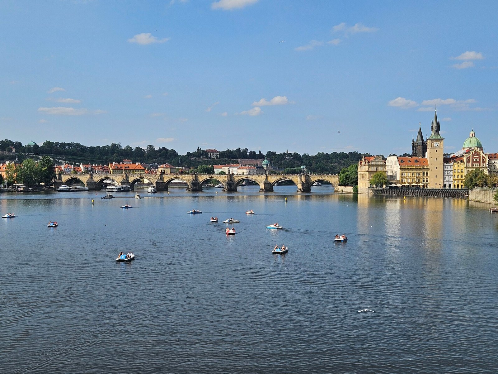 Charles Bridge and the Vltava River in Prague, seen from the water with swan pedal boats gliding past