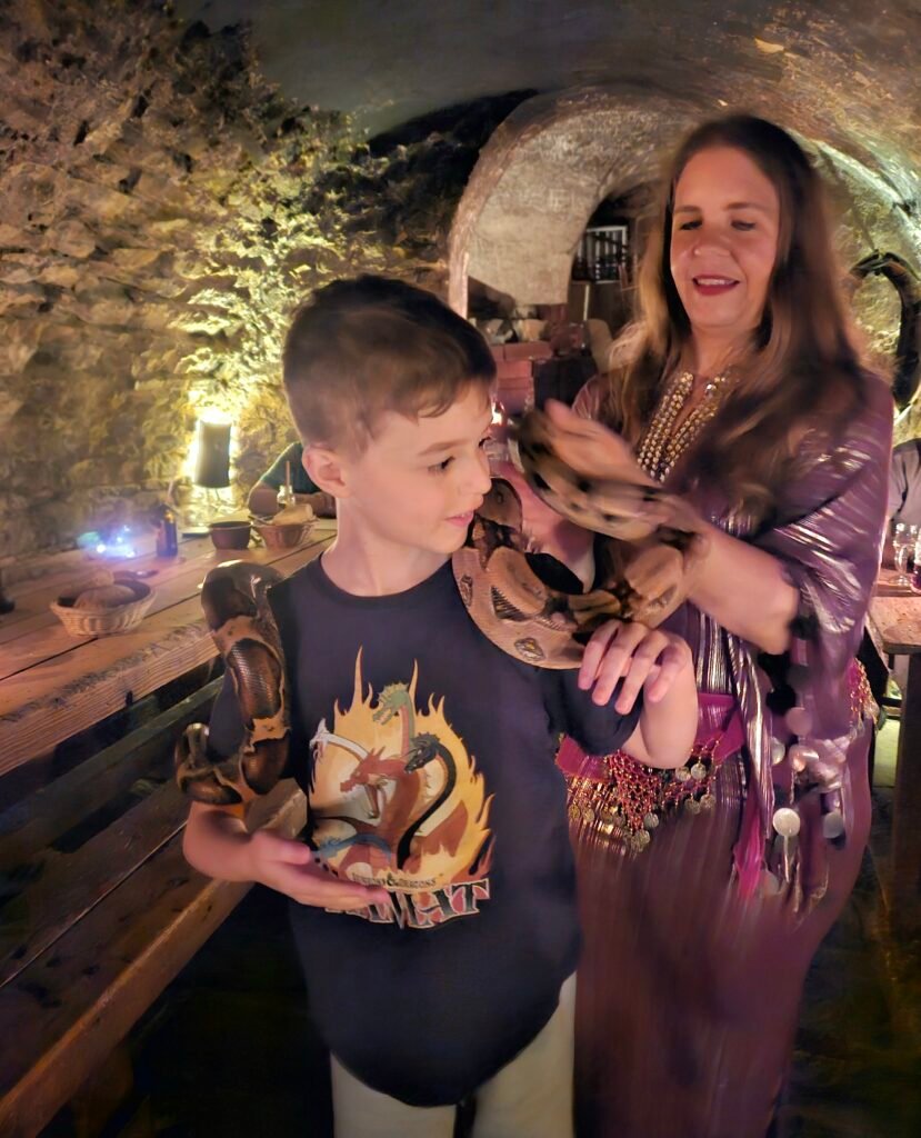Boy holding a python during the medieval show at U Krále Brabantského tavern in Prague