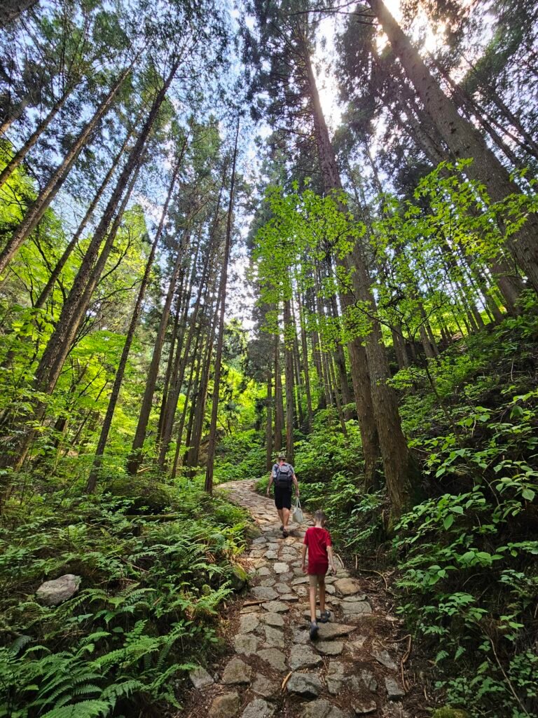 Dad and our 7-year-old son climbing a stone path through cedar forest on the Nakasendo Trail