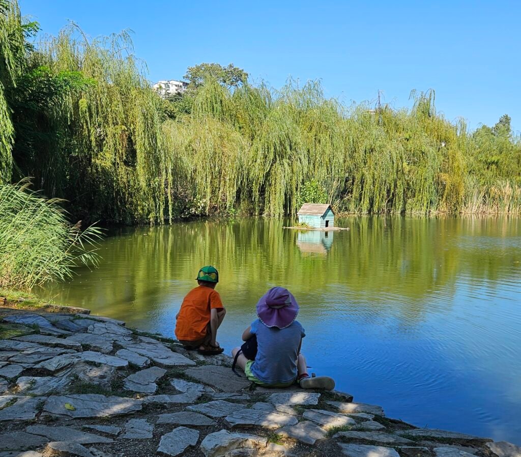 Two children sitting by a lake surrounded by willow trees