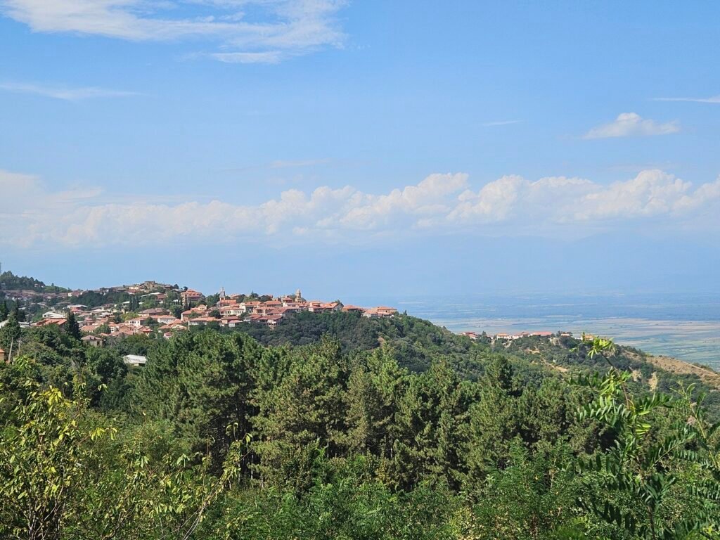 Hilltop town of Sighnaghi above green forest, with the Alazani Valley stretching out behind