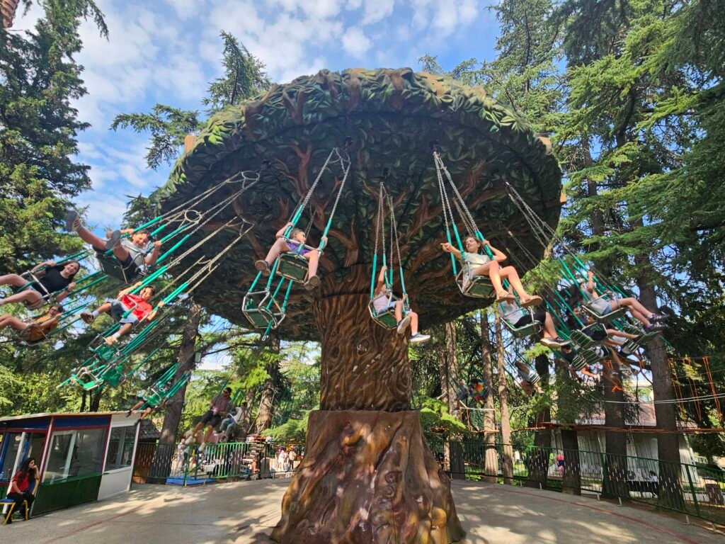 Children on a tree-shaped swing carousel among pine trees at Mtatsminda Park in Tbilisi