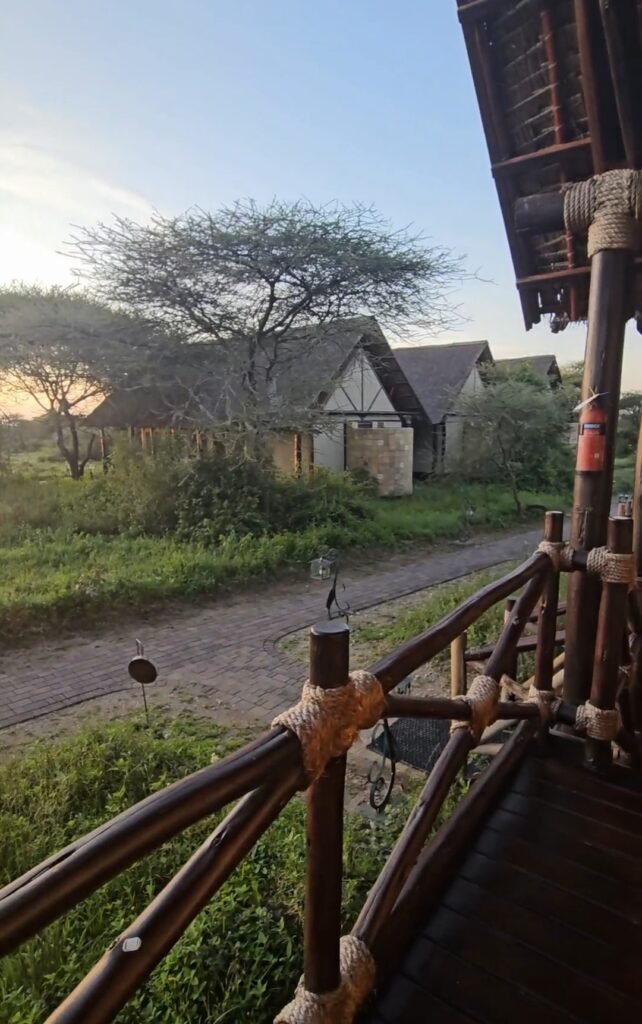 Thatched lodge rooms seen from a wooden balcony at our safari lodge in Tanzania